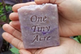 One Tiny Acre